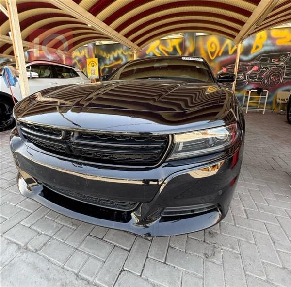 دۆج چارجەر 2023  بۆ فرۆشتن لە عێراق -  بەغداد